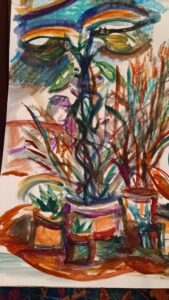 You know, sketch plants on a shelf. mixed media 12. by 18. inches.