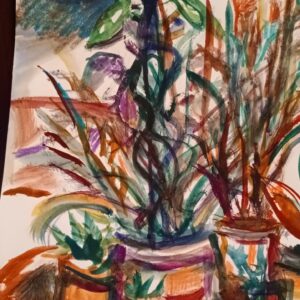 You know, sketch plants on a shelf. mixed media 12. by 18. inches.